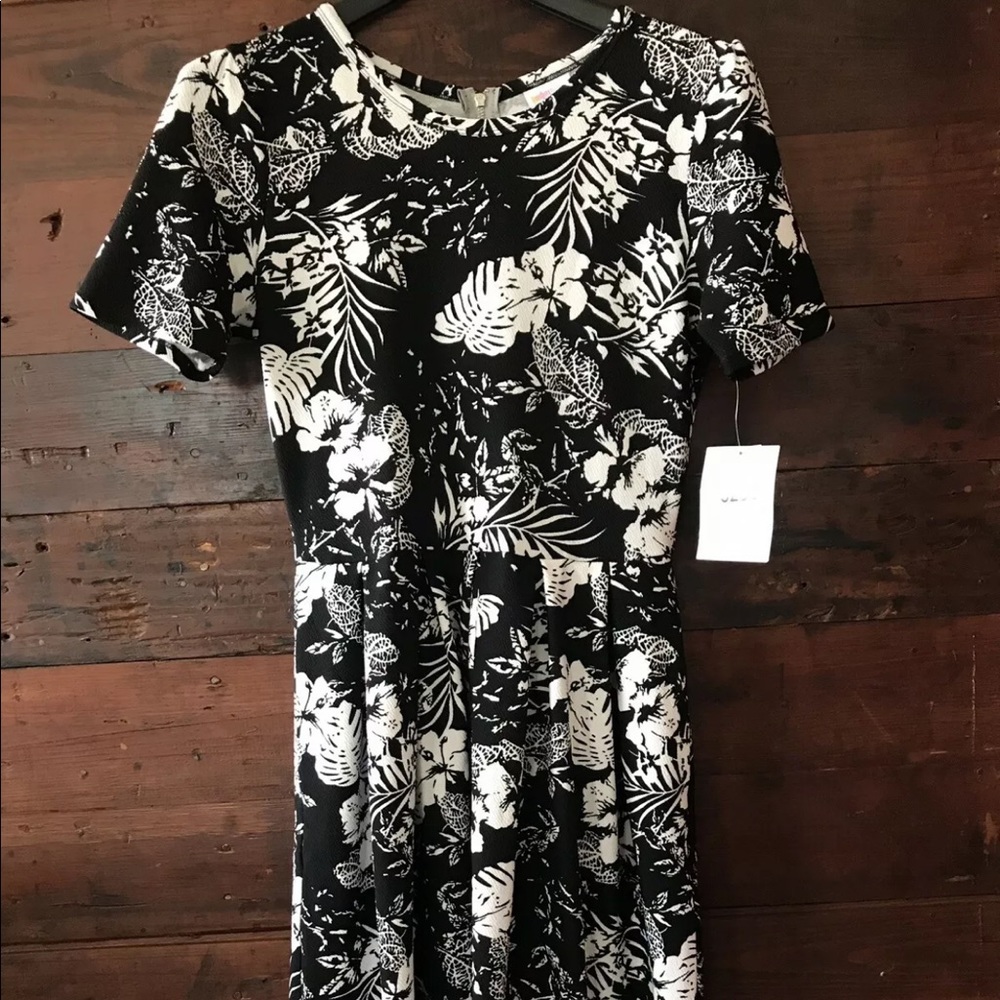 Luluroe Women’s Stretchy Dress Size M